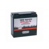 OREGON Accu 12V 22Ah SLA 12-22 (+R) 108458