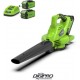 GREENWORKS 40 Volt Accu Bladblazer en Zuiger GD40BVK2X