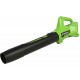 GREENWORKS 24 Volt Accu Bladblazer zonder accu en lader G24AB