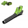 GREENWORKS 40 Volt accu bladblazer met 2Ah en lader G40ABIIK2