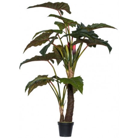 POTTERYPOTS Alocasia Tree L, Green F1002-220-91