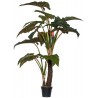POTTERYPOTS Alocasia Tree L, Green F1002-220-91