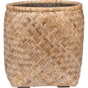 POTTERYPOTS Zayn L, Bamboo T4101-69-BB