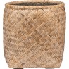 POTTERYPOTS Zayn L, Bamboo T4101-69-BB