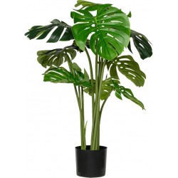 POTTERYPOTS Monstera L, Green F1009-120-91