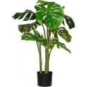 POTTERYPOTS Monstera L, Green F1009-120-91