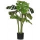 POTTERYPOTS Monstera XXL, Green F1009-180-91
