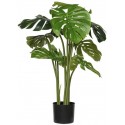 POTTERYPOTS Monstera XXL, Green F1009-180-91