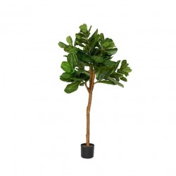 POTTERYPOTS Ficus Lyrata L, Green F1005-150-91