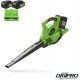 GREENWORKS 48 Volt (2X24 Volt) Accu bladblazer en zuiger met 2 x 4Ah Accu en Lader GD24X2BVK4X