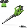 GREENWORKS 48 Volt (2X24 Volt) Accu bladblazer en zuiger met 2 x 4Ah Accu en Lader GD24X2BVK4X