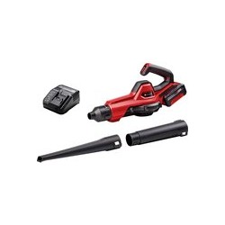 EINHELL GE-UB 18/250 Li E Kit 4.0 ah - Accu Bladblazer - 1 Accu - Power x-change 3433560