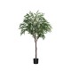 POTTERYPOTS Ficus Alii Tree L, Green F1033-180-91