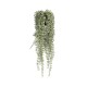 POTTERYPOTS Senecio L, Green F1017-60-91