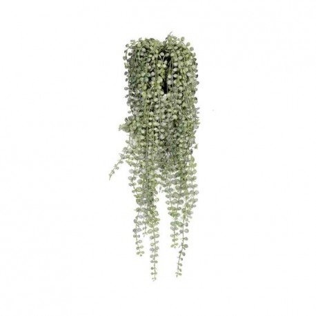 POTTERYPOTS Senecio L, Green F1017-60-91