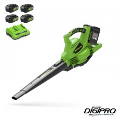 GREENWORKS 48 Volt (2X24 Volt) Accu bladblazer en zuiger met 4 x 4Ah accu en lader GD24X2BV44x