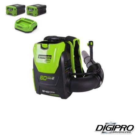 GREENWORKS 60 Volt accu bladblazer inclusief 2  2.0Ah accu's en een 60 Volt lader GD60BPBK2X