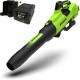 GREENWORKS 60 Volt accu Bladblazer met accu en lader BL2206HAK4