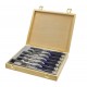 BAHCO Steekbeitelset 6-delig luxeuitvoering 424P-S6-EUR