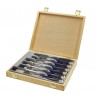 BAHCO Steekbeitelset 6-delig luxeuitvoering 424P-S6-EUR